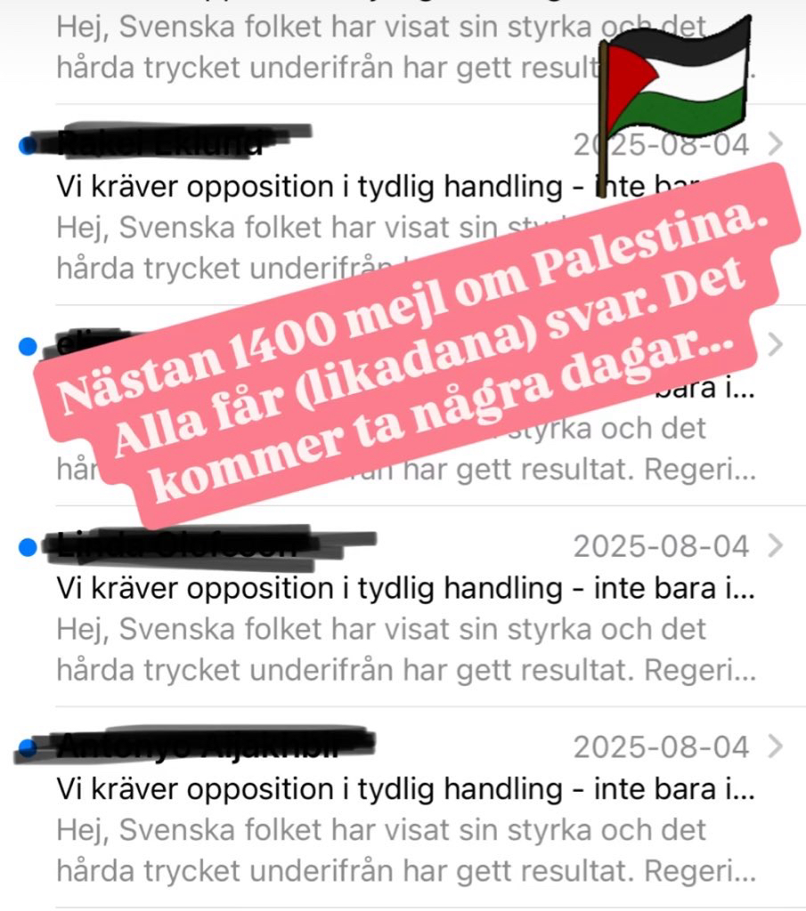 Skärmavbild på mejl om Palestina, med en palestinsk flagga.